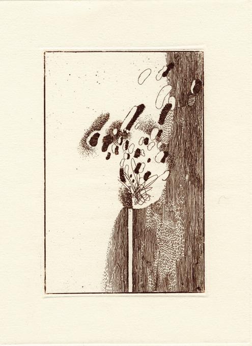 %e5%ae%89%e5%b9%b4%e6%96%af%e5%9f%ba%e8%af%971